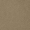 Beige Moyen