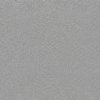 Gris Clair
