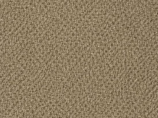 Velours Polyester FR M1 300cm M1