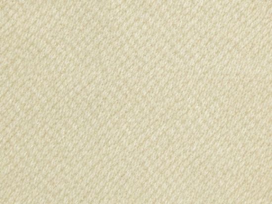 Velours Polyester FR M1 300cm M1