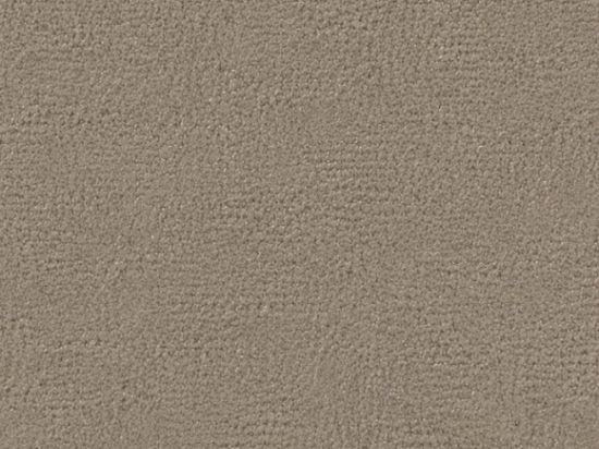 Tissu Suedine Velluto M1