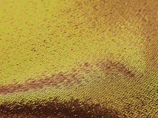 Tissu Shiny 95G 308cm Bs1-D0