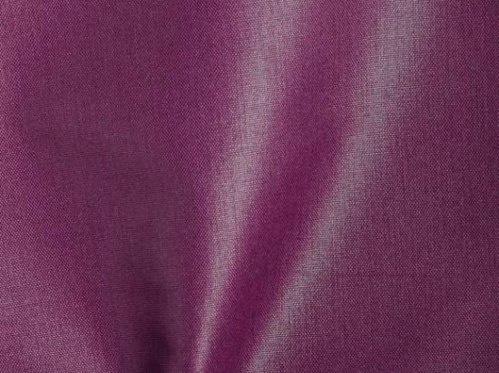 Chintz 280cm