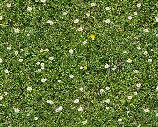 Moquette Thematics effet herbe Meadow 2m Cfl-s1