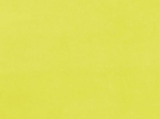 Moquette Revexpo 2m x 30m Cfl-s1