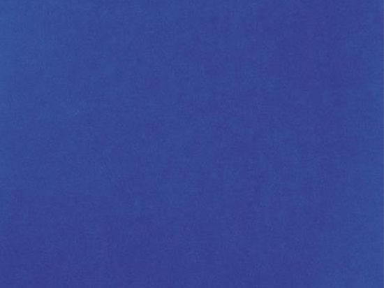 Moquette Revexpo 2m x 30m Cfl-s1