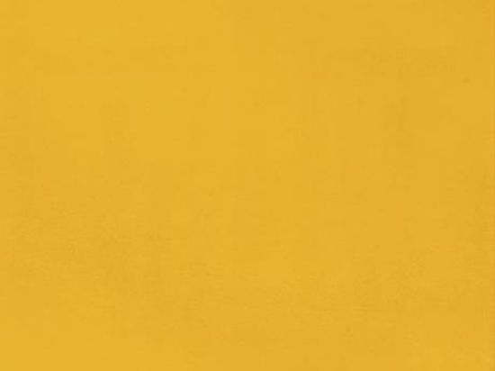 Moquette Revexpo 2m x 30m Cfl-s1