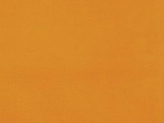 Moquette Revexpo 2m x 30m Cfl-s1