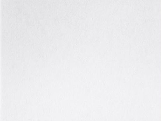 Moquette Revexpo 2m x 30m Cfl-s1