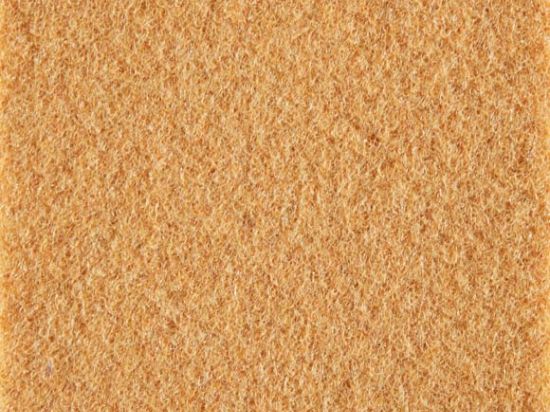 Salsa Filmed Velour Fabric Carpet 2m Cfl-s1