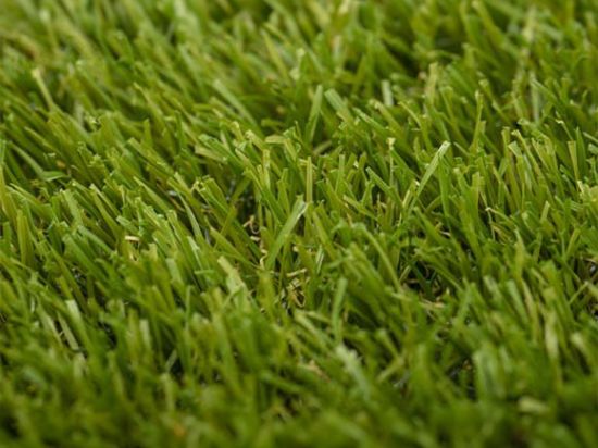 Gazon Yadira Olive 2m - 30mm
