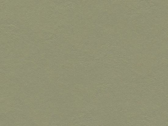 Sol Linoleum Natura 2m Cfl-s1