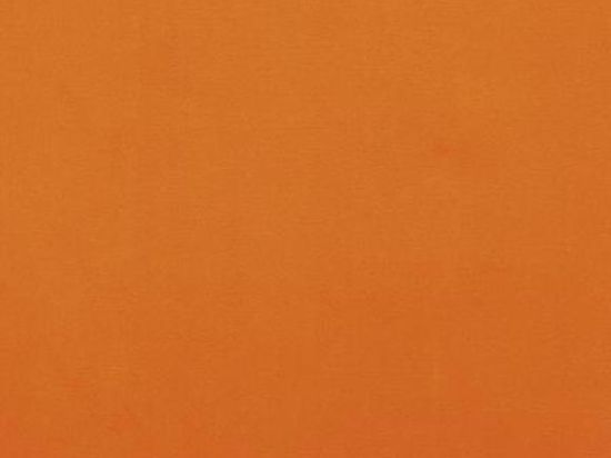 Arizona Expotuft 4m Cfl-s1