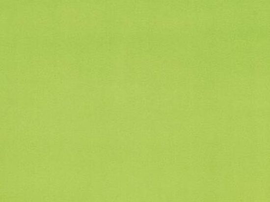 Arizona Expotuft 4m Cfl-s1