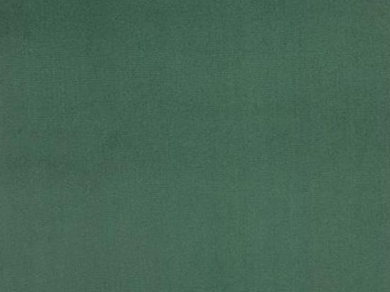 Arizona Expotuft 4m Cfl-s1