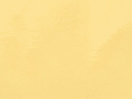 Plaque Décorative Miroir Rigide Or 1m x 2,60m