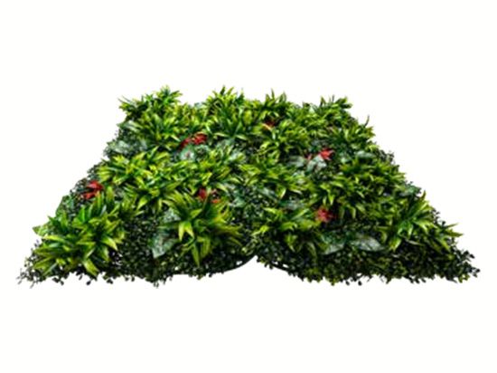 Mur vegetal feuillage plaque de 50cm x 50cm