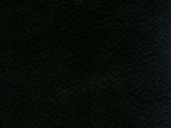 Sol Sportif Intérieur Taraflex