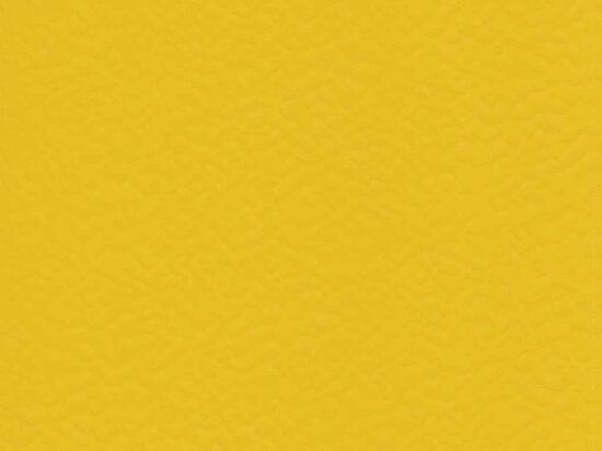 Sol Sportif Intérieur Taraflex