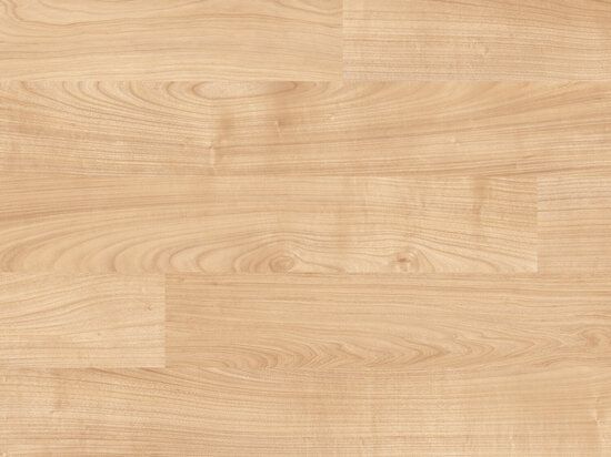 Sol Sportif Intérieur Taraflex