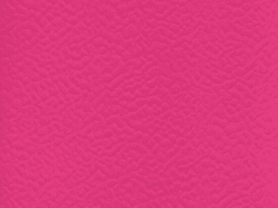 Sol Sportif Intérieur Taraflex