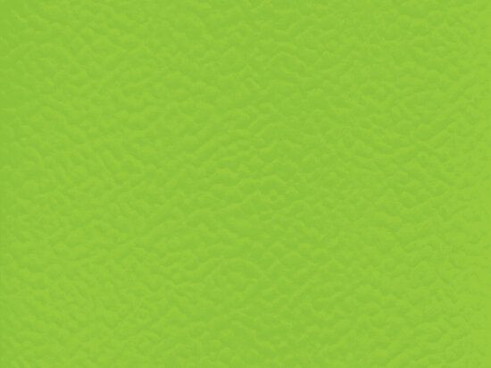 Sol Sportif Intérieur Taraflex