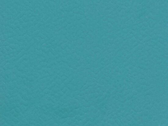 Sol Sportif Intérieur Taraflex