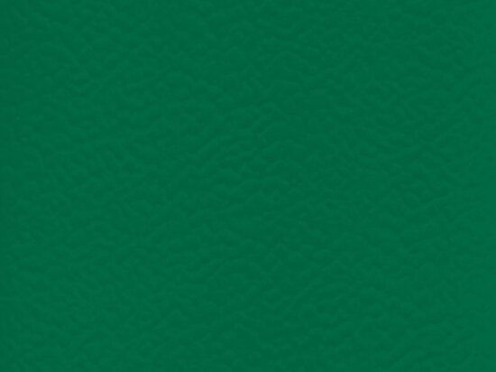 Sol Sportif Intérieur Taraflex