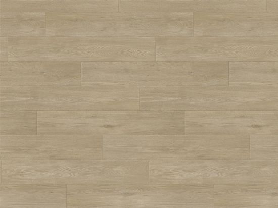 Sol Taralay Impression Confort 43