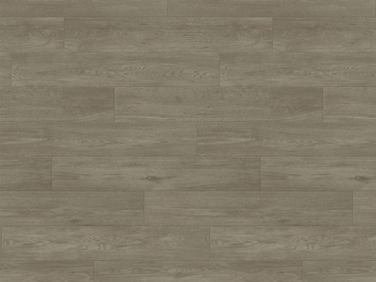 Sol Taralay Impression Confort 43