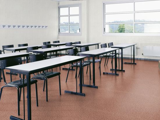 Sol PVC Taralay Impression Compact 33