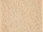 Moquette Velours Filmée Salsa 2m Cfl-s1