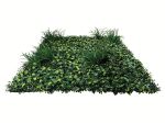 Mur vegetal artificiel plaque de 50cm x 50cm