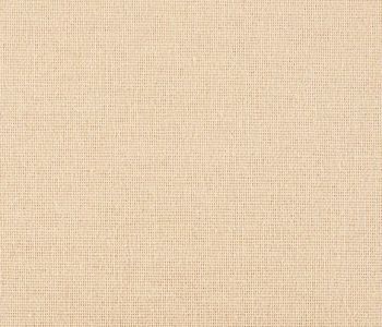 Coton Gratté Beige Clair 165g 310cm M1