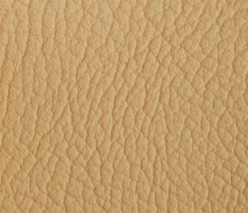 Similicuir Skiny Uni Beige 1,40m M2