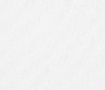 Toile Country Blanc 280cm