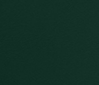 Similicuir vinyle ignifugé Sapin M2 - aspect cuir mat