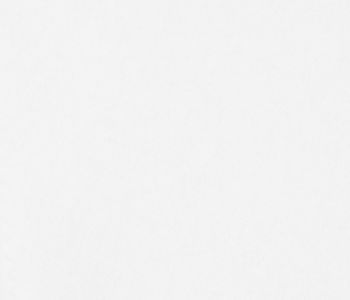 Feutrine Blanc 190cm M1