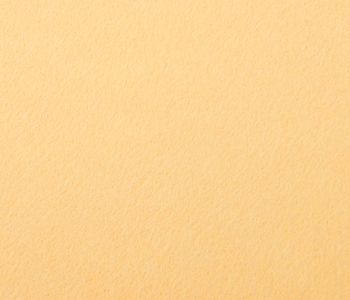 Feutrine Pêche 190cm M1 jusqu'à épuisement