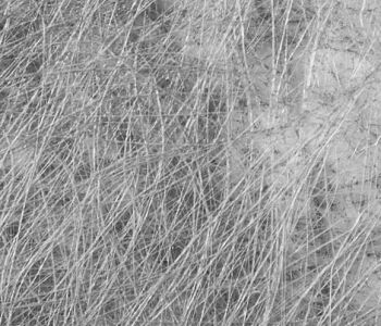 Non Tissés Le Filandre Gris 155cm M1