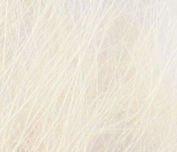 Non Tissés Le Filandre Ecru 155cm M1