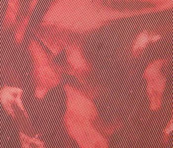 Voile Lamé Rouge 50% 300cm M1