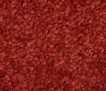Dalle Moquette Velours Saxony Uni Chaudron 50cm x 50cm Bfl-s1