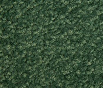 Saxony uni tapijttegel 50cm X 50cm BFL-S1 vert clair