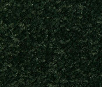 Saxony uni tapijttegel 50cm X 50cm BFL-S1 vert foncé