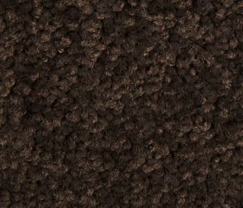 Saxony uni tapijttegel 50cm X 50cm BFL-S1 marron