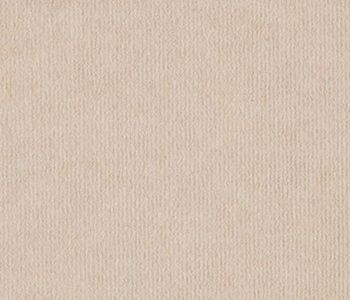 rewind© rib recycleerbaar expotapijt 2m bfl-s1 cream