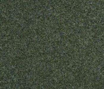 Rewind Contract 900 Dilours Forest