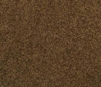 Rewind Contract 900 Dilours Fox