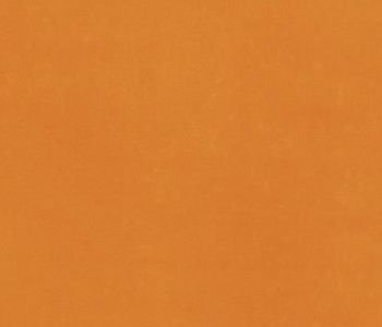 Flamenco rip expotapijt 2 m x 50 m bfl-s1 Orange